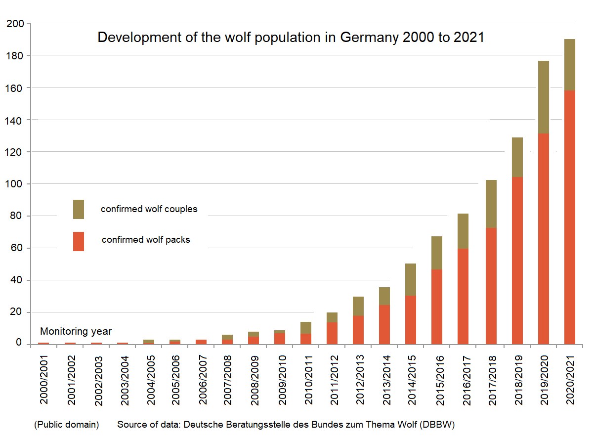 Eine Liniengrafik zeigt das Wachstum der Wolfpopulation in Deutschland von 2000 bis 2021 mit begleitendem Erläuterungstext.