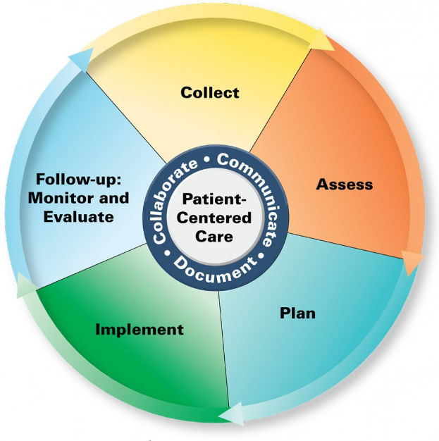 Ein Kreisdiagramm mit der Bezeichnung "patientenorientierte Pflege" und vier farbigen Abschnitten, von denen jeder einen bestimmten Aspekt der Pflege bezeichnet.