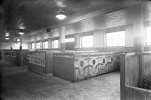 Ein Schwarz-Weiß-Foto eines Stallinneren mit Holzboxen, die mit Heu gefüllt sind, Fenstern, Deckenlampen und Säulen.