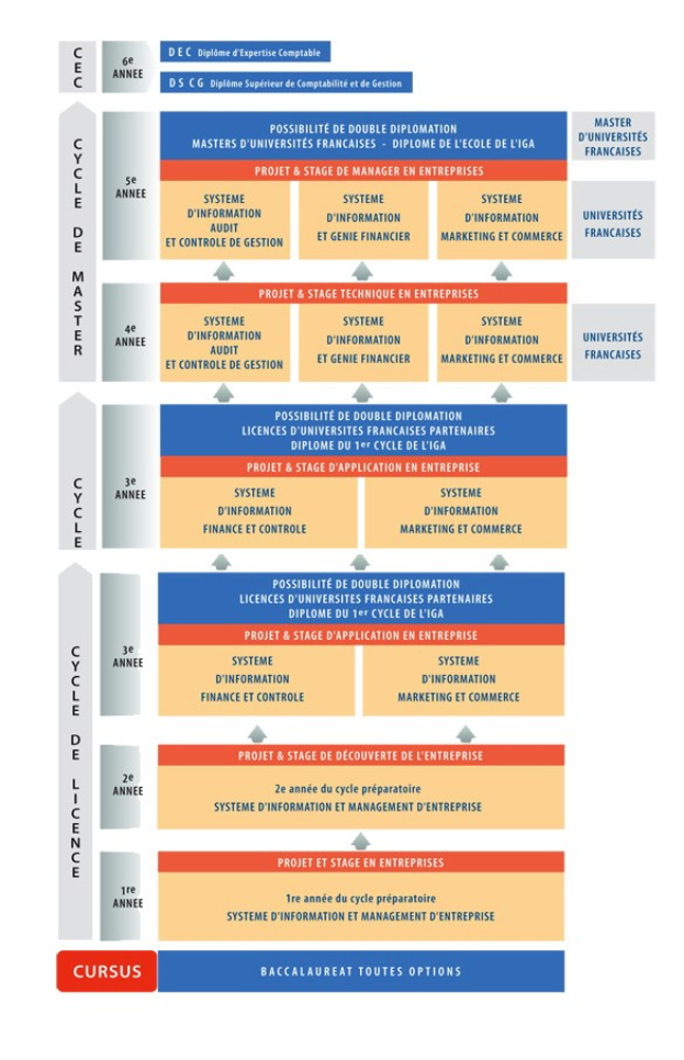 Diagramm, das die organisatorische Struktur eines Unternehmens mit interconnected boxes darstellt, die verschiedene Stufen des Unternehmenswachstums und der Entwicklung darstellen, begleitet von Text, der Rollen und Verantwortlichkeiten beschreibt.