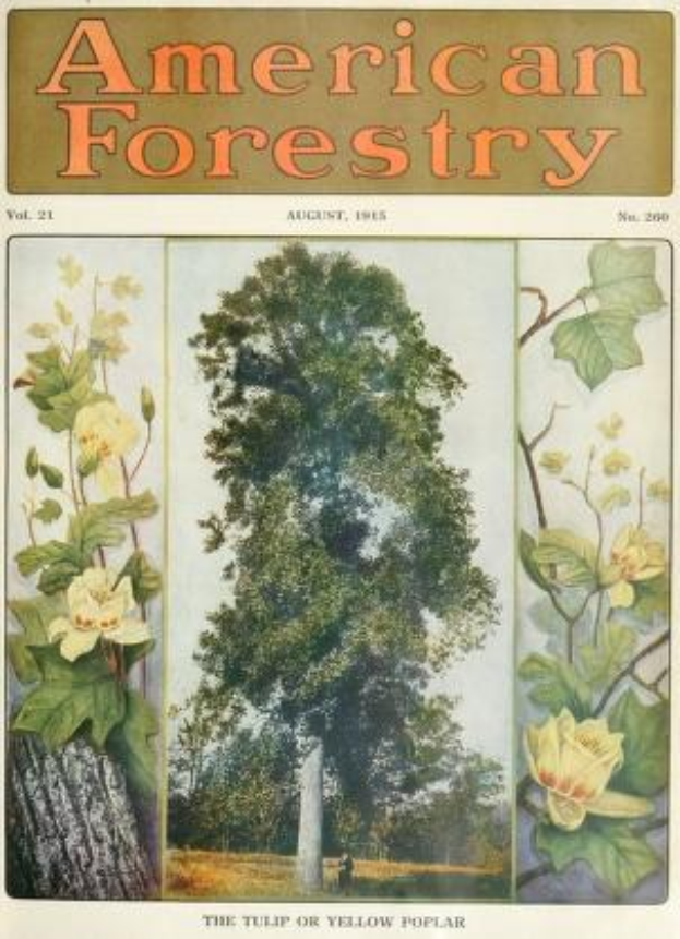 Titelbild der *American Forestry Magazine* aus August 1915 mit farbenfrohen Illustrationen von Bäumen und Blumen.