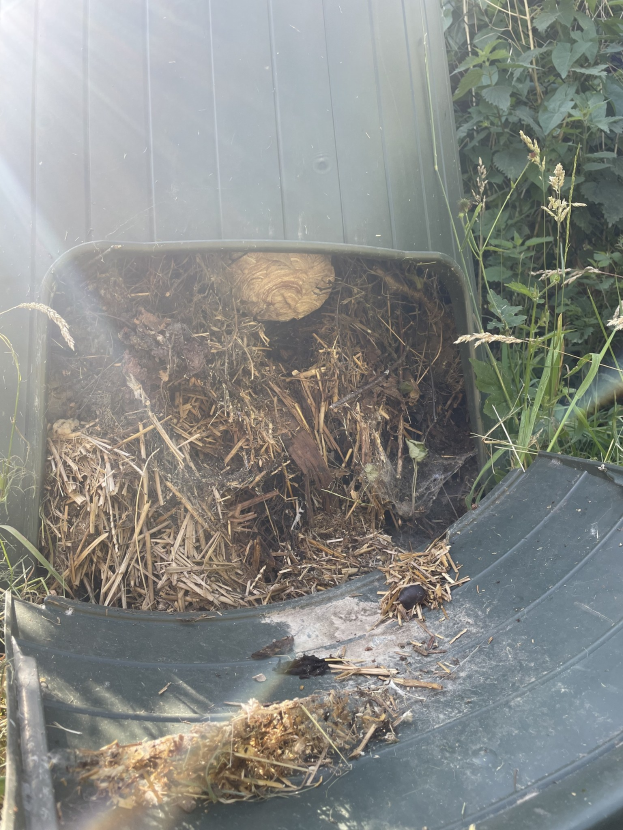 Komposteimer voller Erde und Gras, umgeben von Pflanzen auf der rechten Seite.