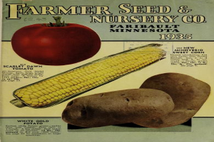 Ein Poster aus dem Jahr 1935 von Farmer Seed & Nursery Co. in Faribault, Minnesota, das Kartoffeln, Mais, einen Apfel und Text zu ihren Produkten zeigt.