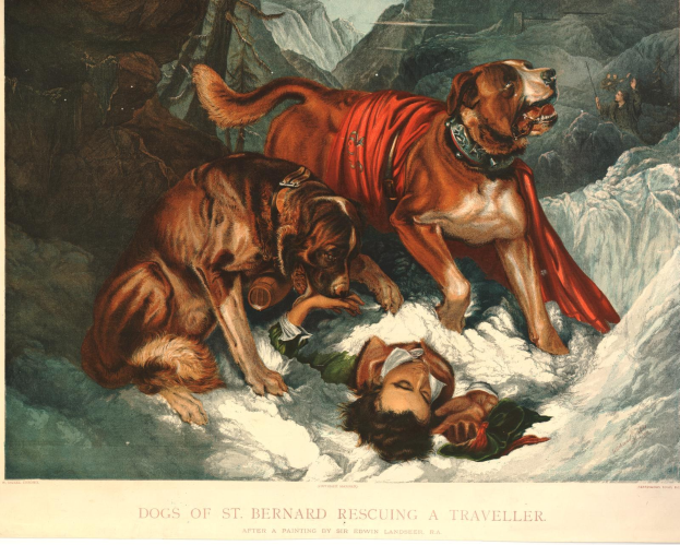 Zwei Bernhardiner-Hunde helfen einer Person im Schnee, mit Bergen im Hintergrund und Text unten.