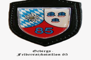 Ein Abzeichen mit der Nummer 85 und deutschem Text unten, das das Logo des bayerischen Fußballteams darstellt.