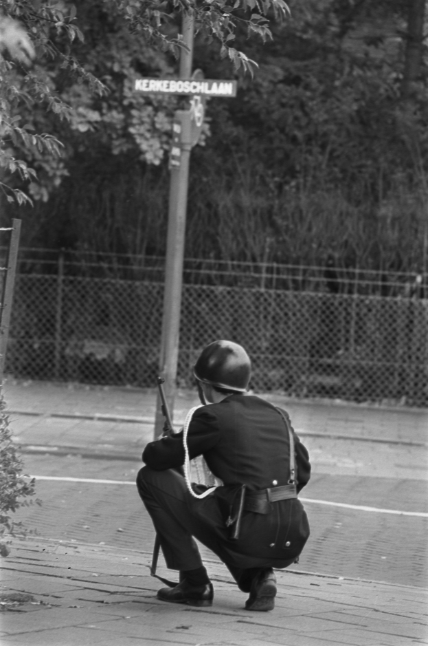Ein Polizist in Uniform und Helm kniet auf der Seite einer Straße und hält eine Waffe in der Hand, mit einer Pflanze links und einem Pfahl mit einer Tafel, einem Zaun und Bäumen im Hintergrund.