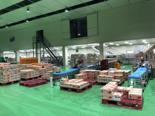 Ein große Lagerhalle voller Kisten auf Paletten, Hubwagen, Maschinen, Treppen mit Geländern, Säulen, Deckenleuchten und einem Bildschirm an der Wand, Teil der größten Nahrungsmittelverarbeitungsanlage Chinas.