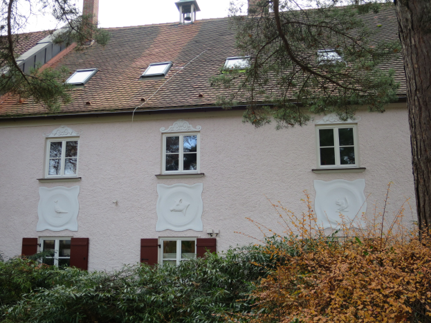 Weißes Haus mit roten Fensterläden, mehreren Fenstern und einem Baum davor, umgeben von grünen Pflanzen unter einem strahlend blauen Himmel.