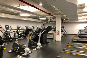 Ein Fitnessstudio-Innenraum mit einer Reihe von Laufbändern und Ellipsentrainern, einer Säule, einem Feuerlöscher an der Wand und Deckenlampen, befindet sich in einem Fitnessstudio in New York City.